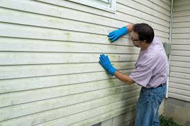 Best Storm Damage Siding Repair  in New Orleans Station, LA